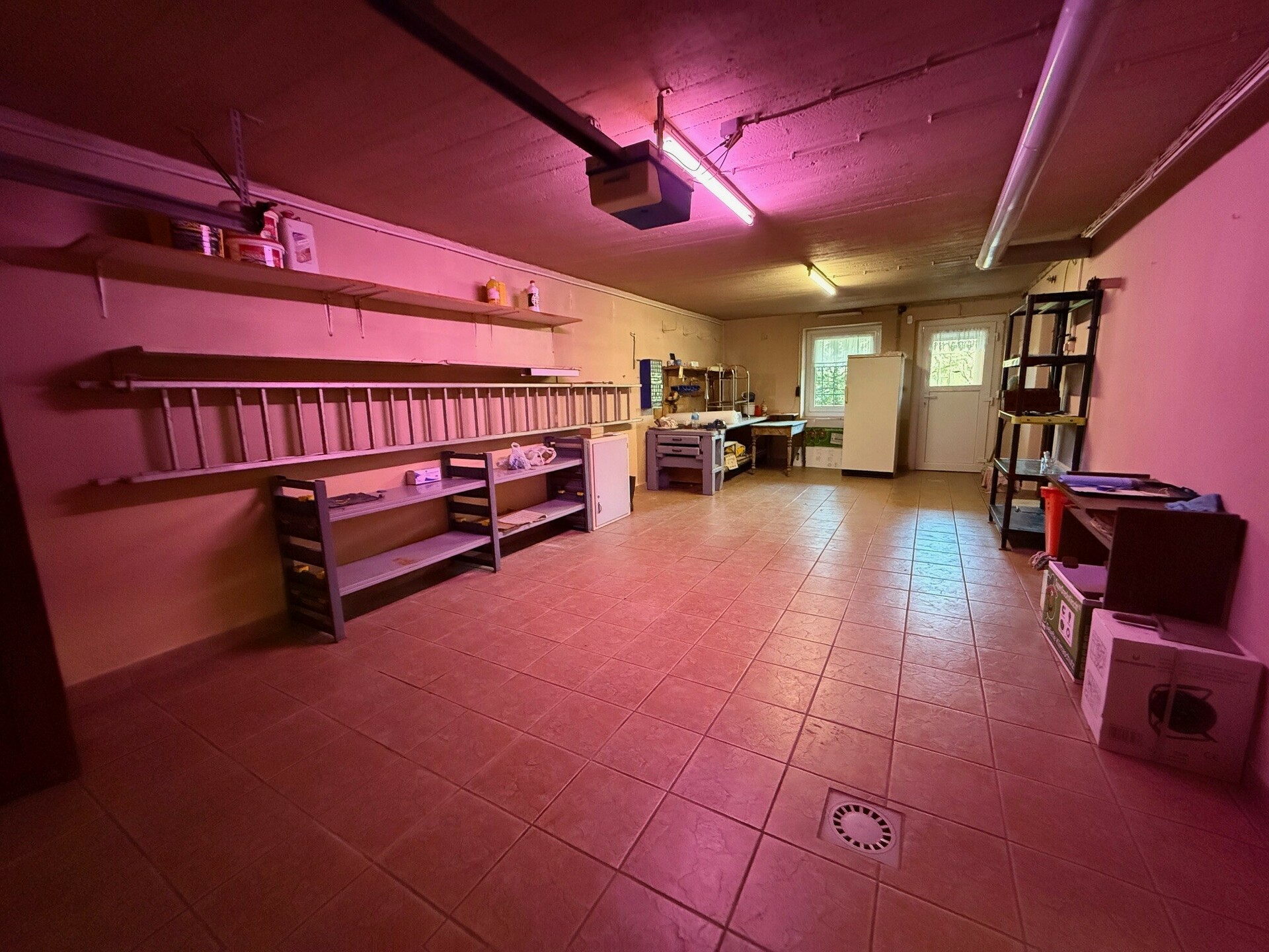 Image 12